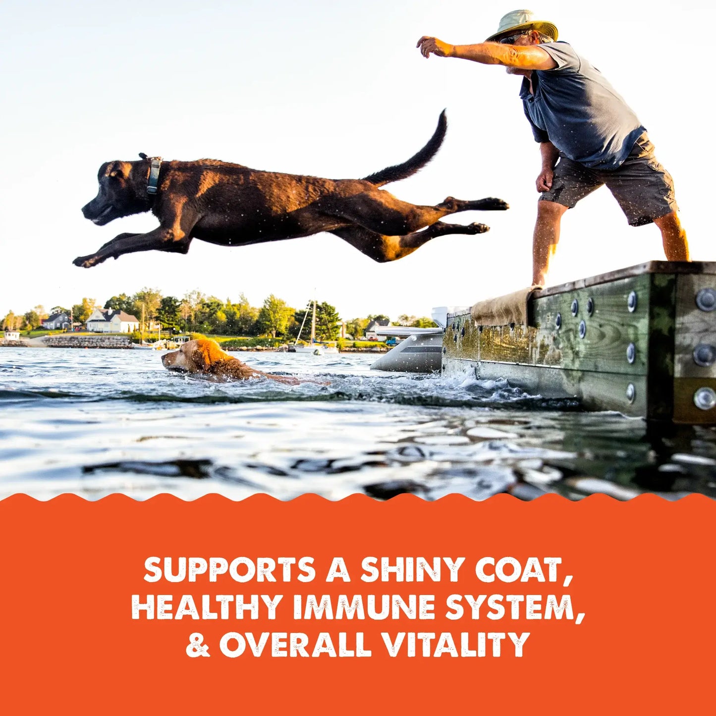 Salmon Oil Plus