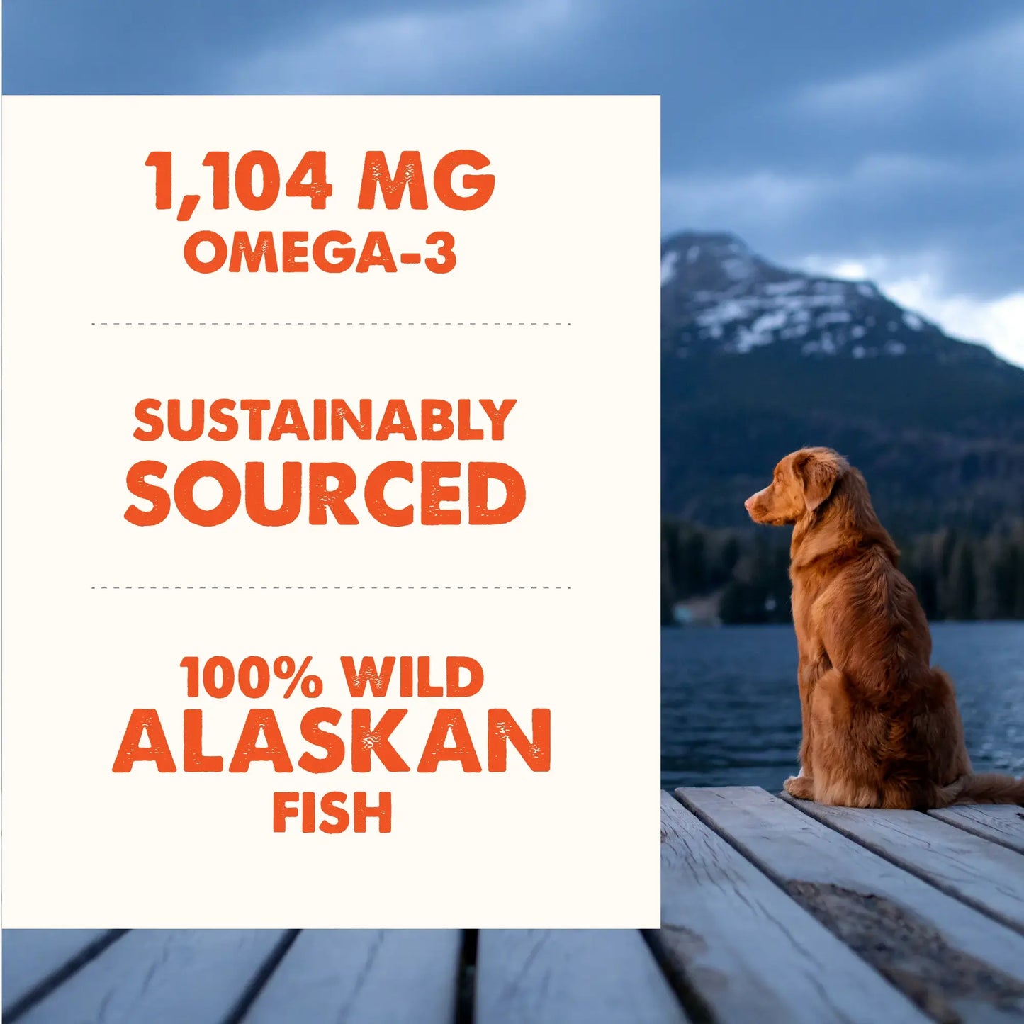 Salmon Oil Plus