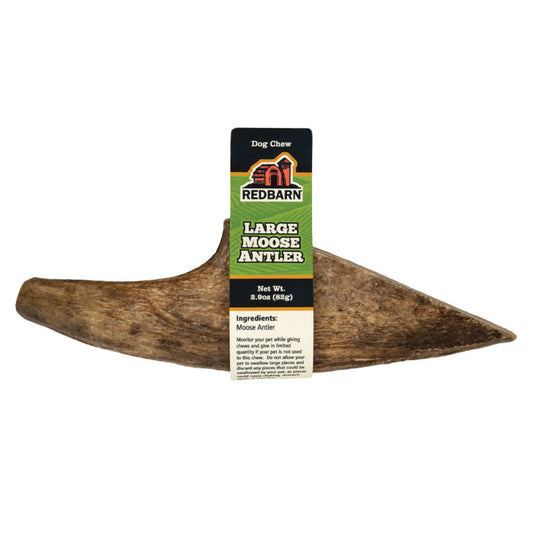 Redbarn Large Moose Antler Chew