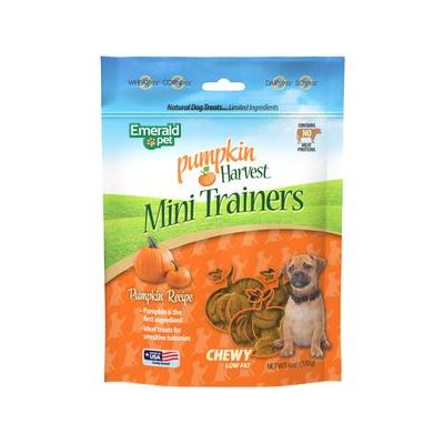 Emerald Pet Pumpkin Harvest Trainers