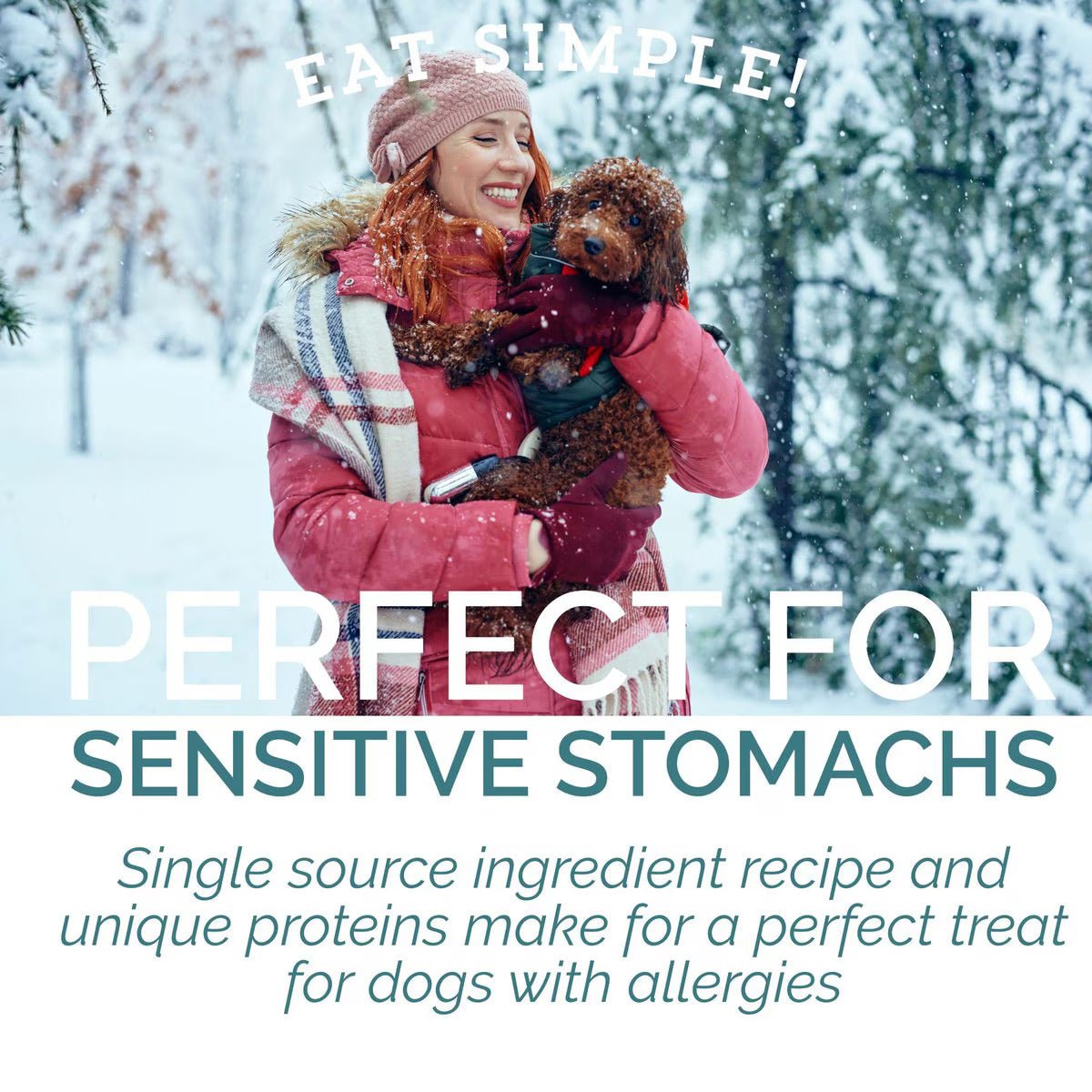 Freeze Dried Turkey Treats