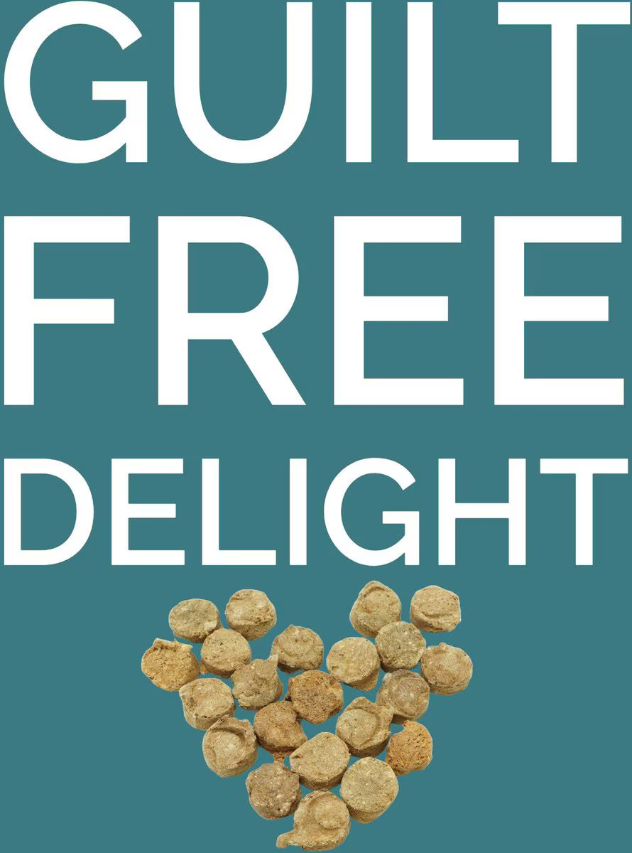 Freeze Dried Turkey Treats
