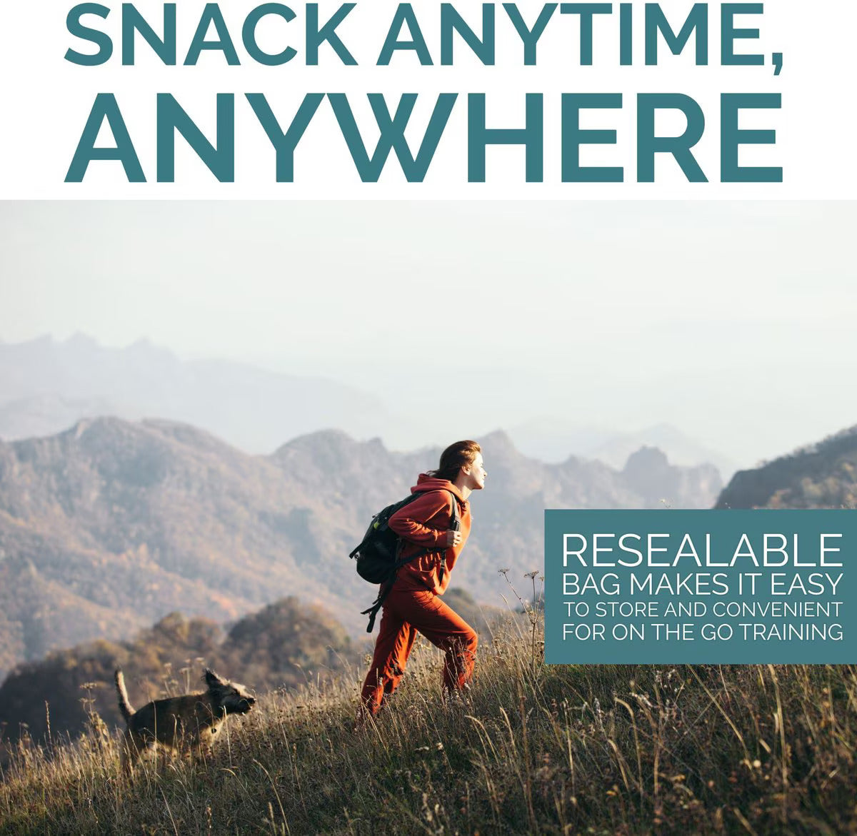 Freeze Dried Turkey Treats