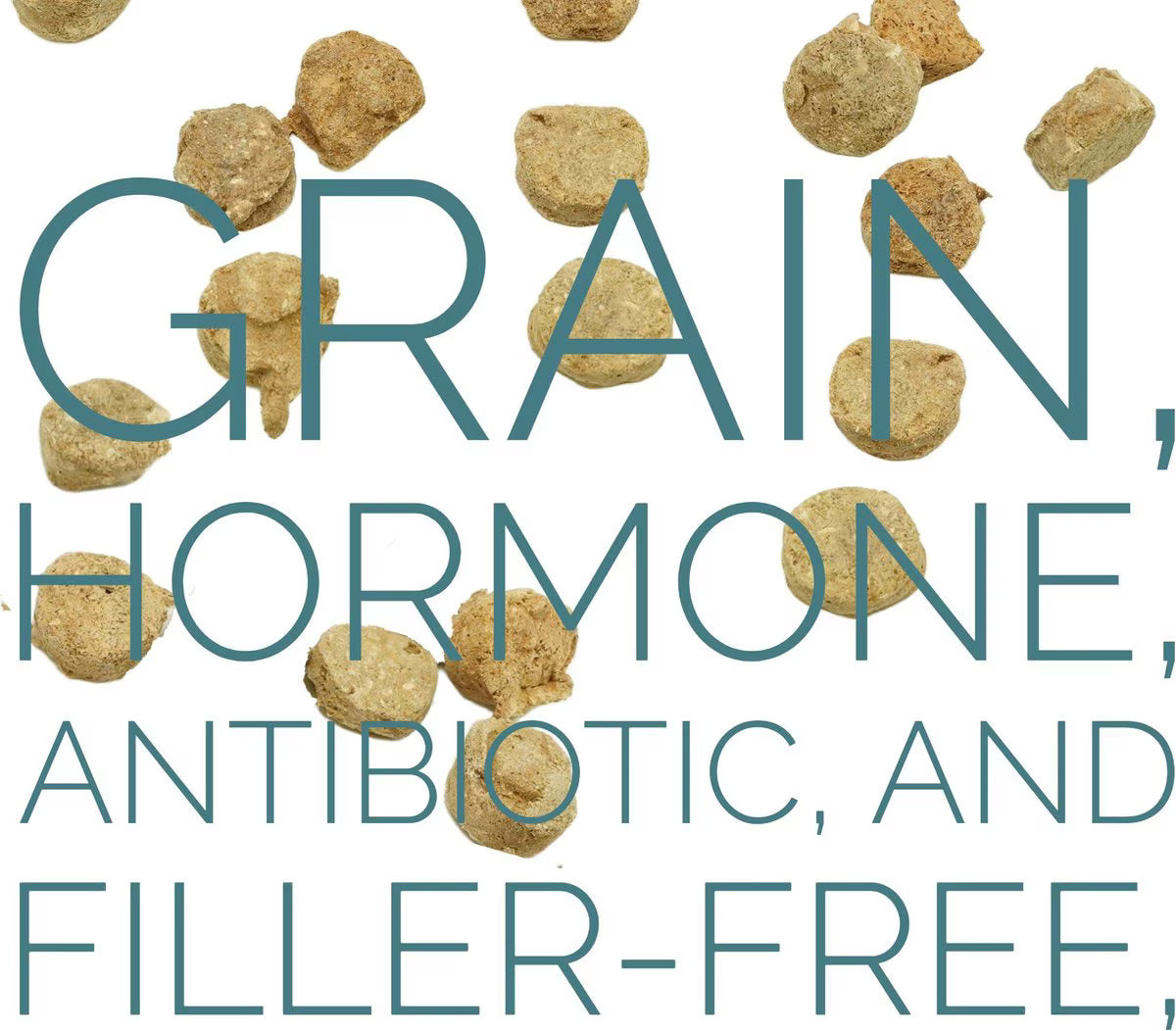Freeze Dried Turkey Treats