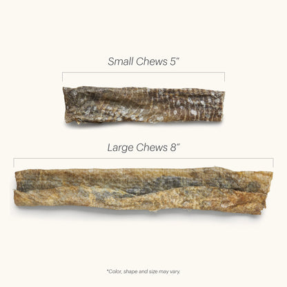 Codfish Ocean Chews